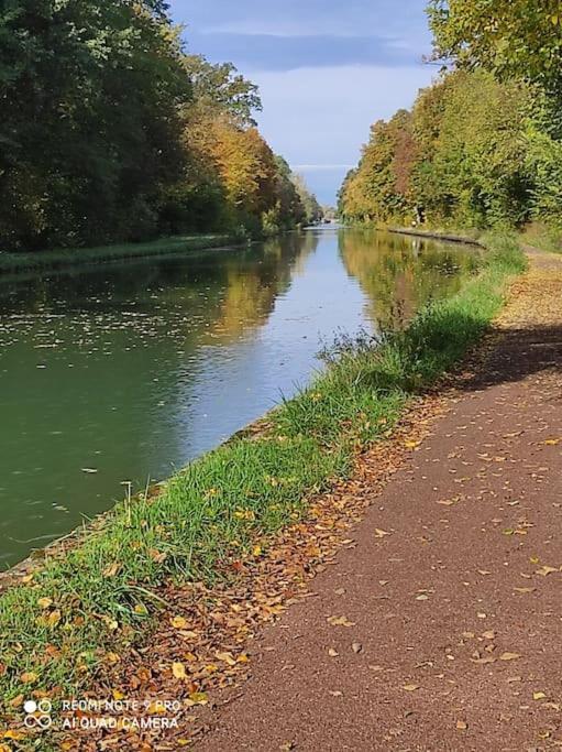 Strasbourg 3 Pieces Avec Jardin Διαμέρισμα Brumath Εξωτερικό φωτογραφία